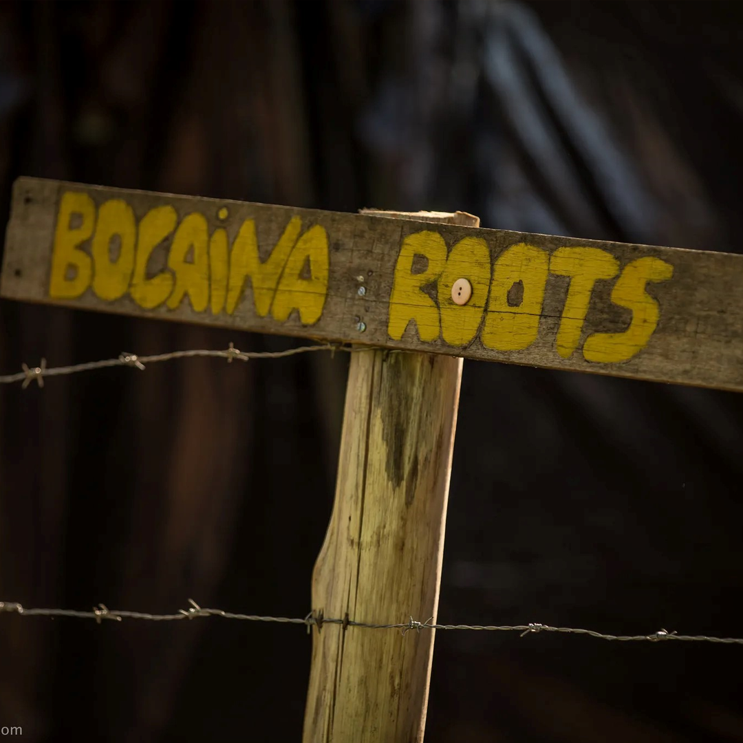 bocaina5