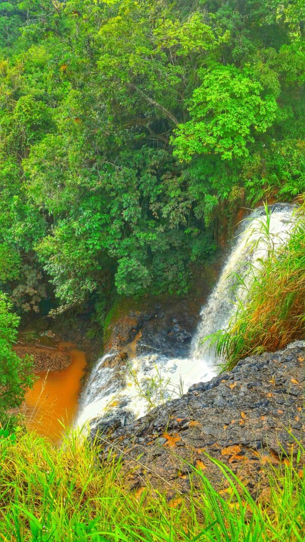 Roteiro Pontilhão do Fundão + Cachoeira - Araguari/MG - Image 6