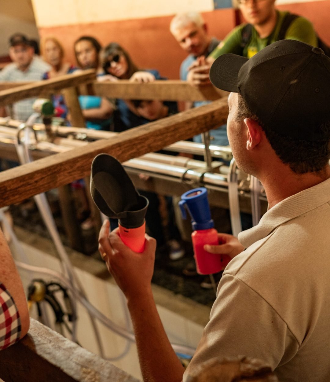 SB Turismo - Fazenda Aprazivel (137)