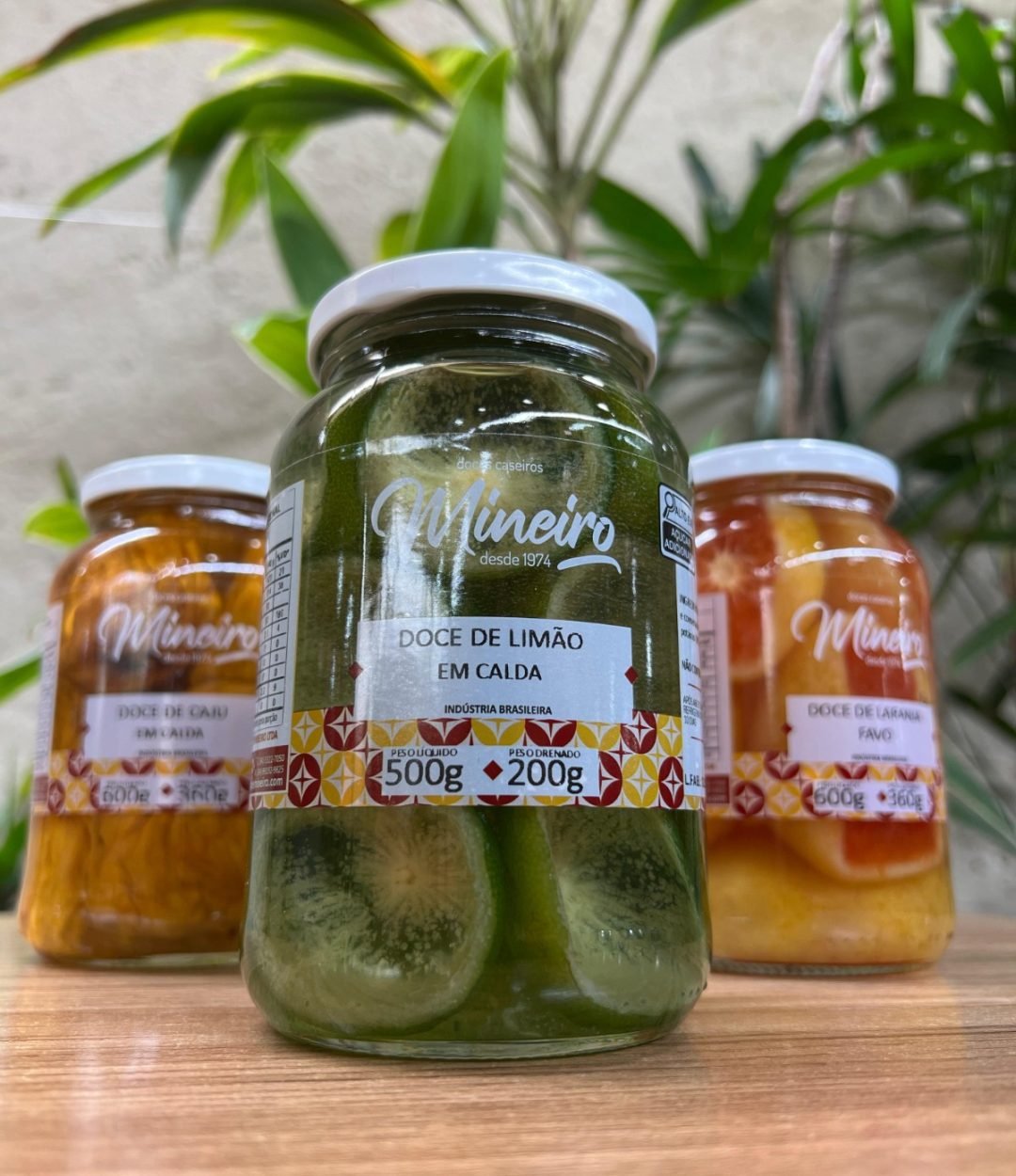 WhatsApp Image 2026-02-20 at 15.05.30 (1)