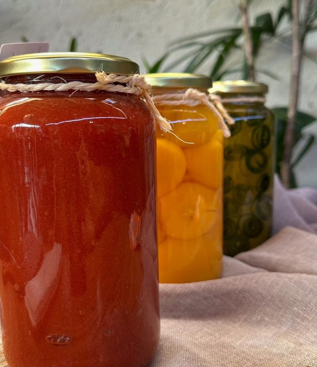 WhatsApp Image 2026-02-20 at 15.05.32 (2)