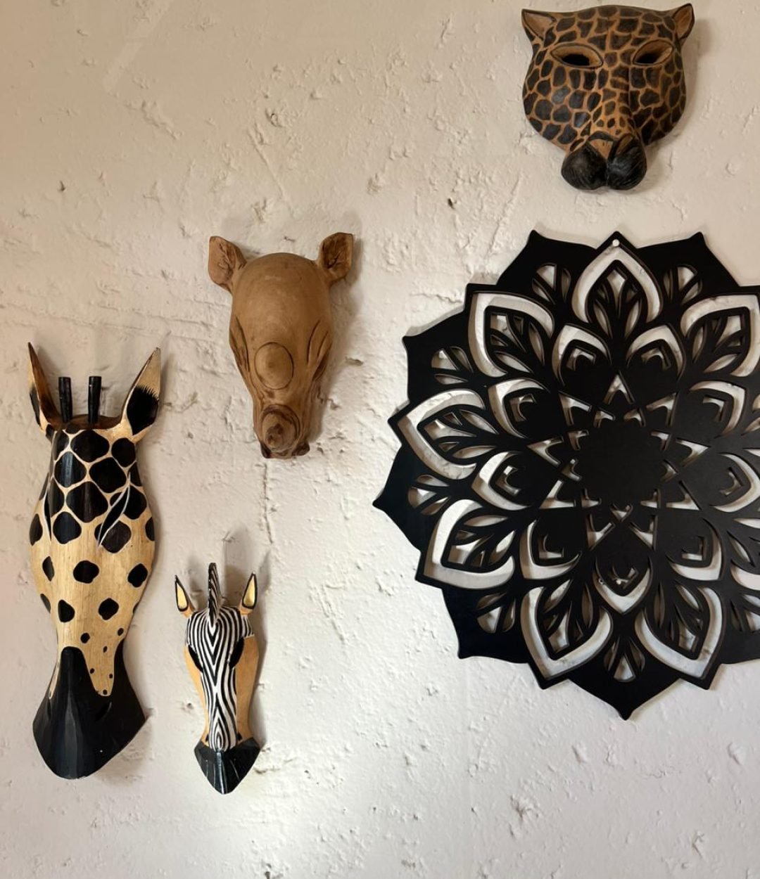 WhatsApp Image 2026-02-20 at 15.05.33 (1)