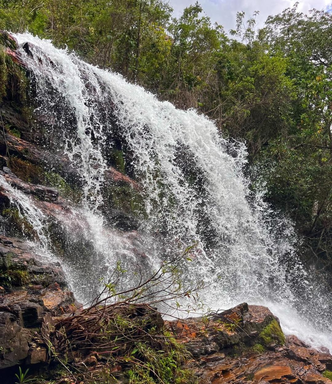 WhatsApp Image 2026-03-16 at 15.47.09