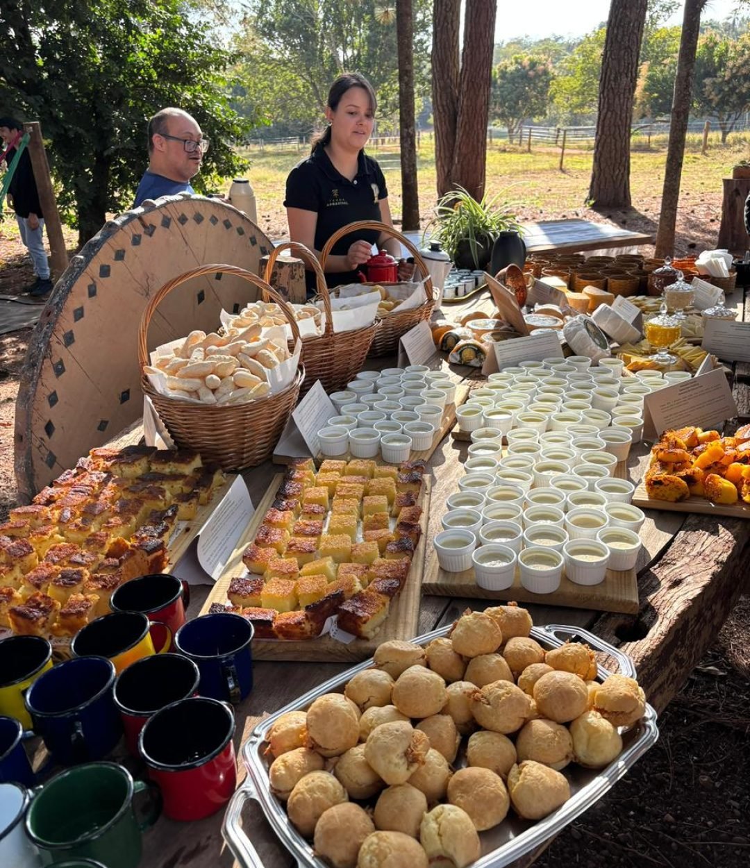 WhatsApp Image 2026-03-27 at 09.10.25